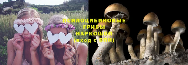 стаф Алексин