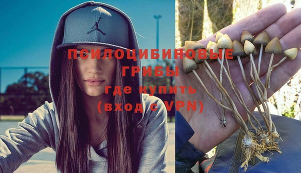 сатива Алзамай