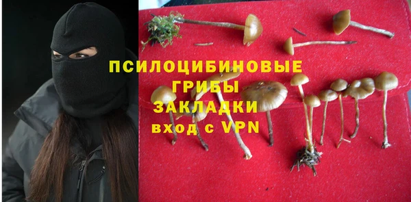 сатива Алзамай