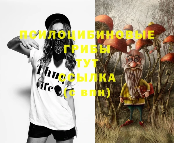 хмурый Алексеевка