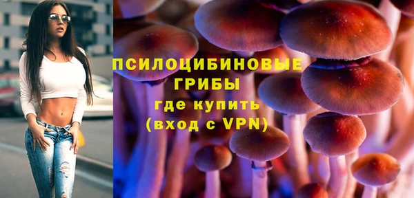 сатива Алзамай